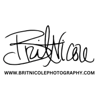 Brit Nicole logo
