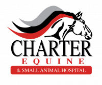 Charter Equine Black